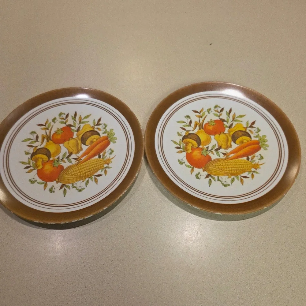Genuine Melamine Dinner Plates 10